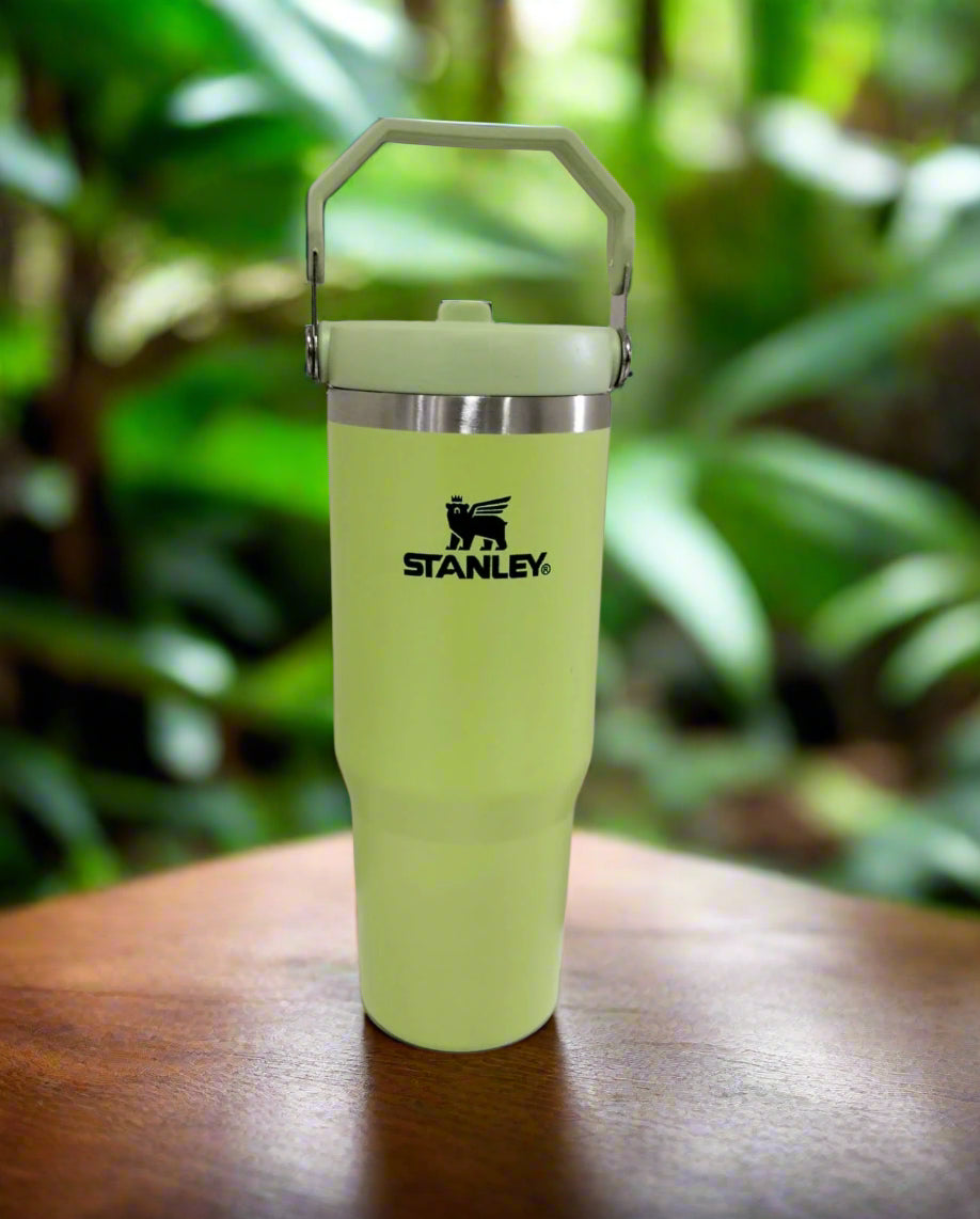 FREE Home Delivery with Special Discount Offer On Upper Handle 30 Oz Stanley Tumbler. Best Quality. Free Home Delivery & Cash On Delivery - كوب ستانلي سعة 30 أونصة