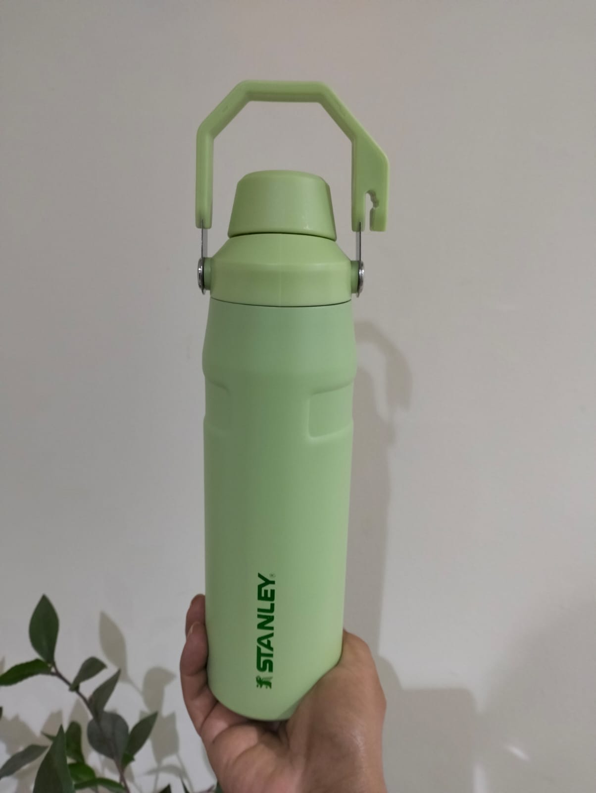 FREE Home Delivery with Special Discount Offer On Upper Handle 30 Oz Stanley Tumbler. Best Quality. Free Home Delivery & Cash On Delivery - كوب ستانلي سعة 30 أونصة