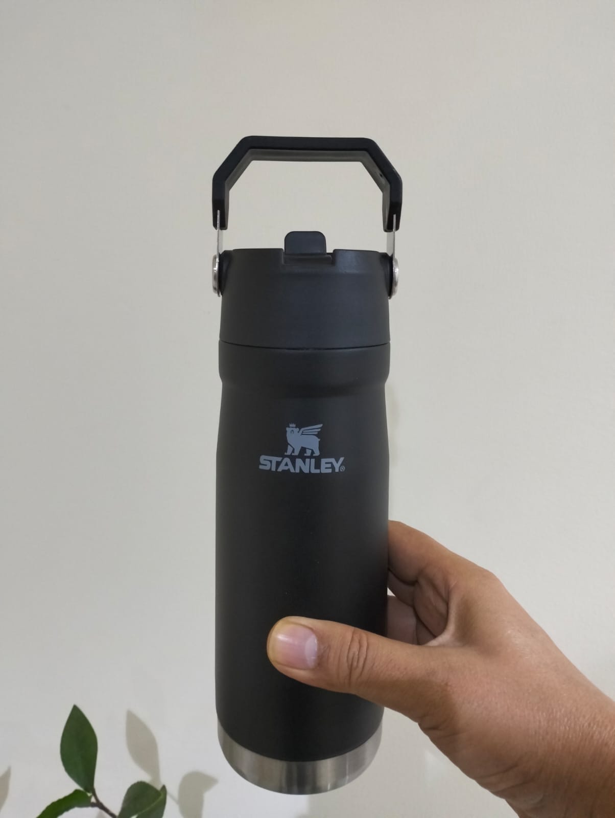 FREE HOME DELIVERY with SPECIAL DISCOUNT on 25oz Upper Handle Stanley Tumbler