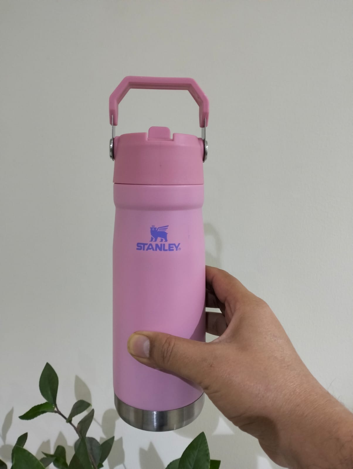 FREE HOME DELIVERY with SPECIAL DISCOUNT on 25oz Upper Handle Stanley Tumbler